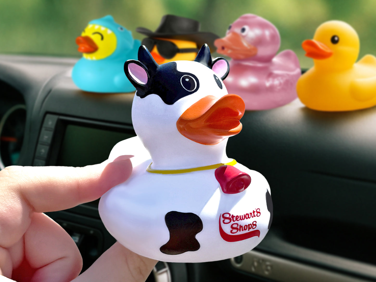 A person holds a Stewart’s Shops cow-themed rubber duck inside a car. The duck is white with black cow spots, small black horns, an orange bill, and a red cowbell around its neck. The Stewart’s Shops logo is printed on its chest. On the car dashboard in the background are four other rubber ducks: a blue duck in a shark hoodie, a duck with a cowboy hat and sunglasses, a translucent pink duck, and a classic yellow duck. The scene is brightly lit with greenery visible through the windshield.